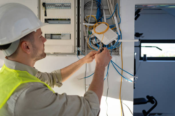 Best Electric Panel Repair  in , CO